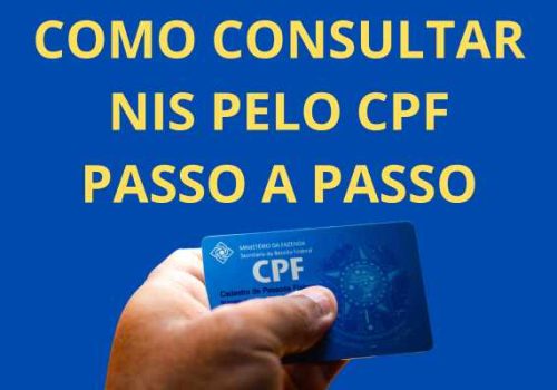 Consultar NIS pelo CPF